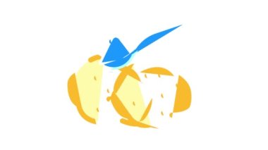 nişasta gıda katkı maddeleri renk canlandırması