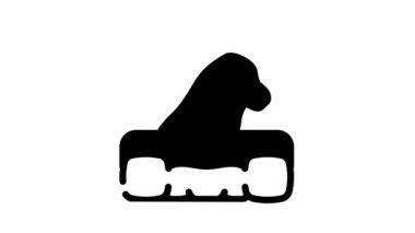 köpek kokusu çizgisi canlandırması