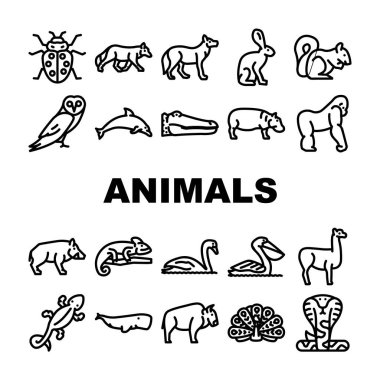 Vahşi Hayvanlar, Kuşlar ve Böcekler Simgeler Vektörü Ayarladı