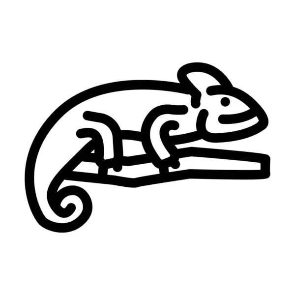 Ilustração do vetor do ícone da linha animal do camaleão — Vetor de Stock