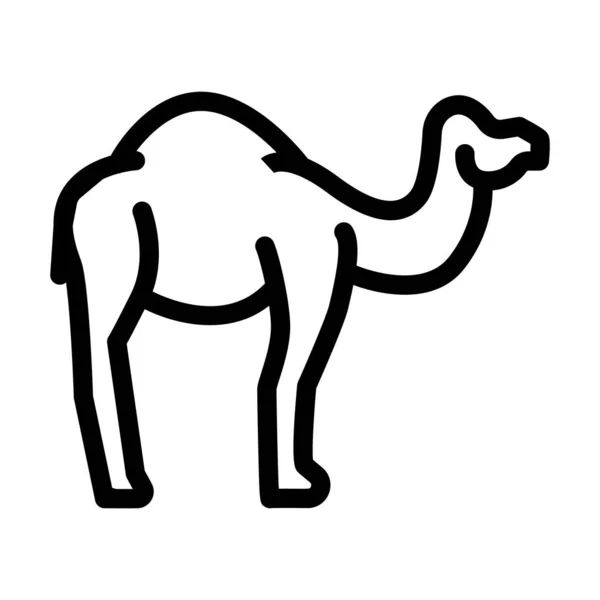 Ilustracja wektora linii wielbłąda zwierząt — Wektor stockowy