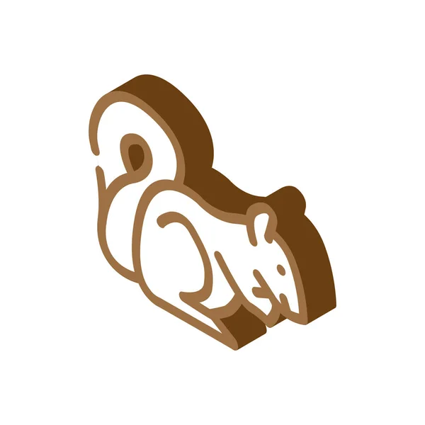 Écureuil animal sauvage icône isométrique illustration vectorielle — Image vectorielle