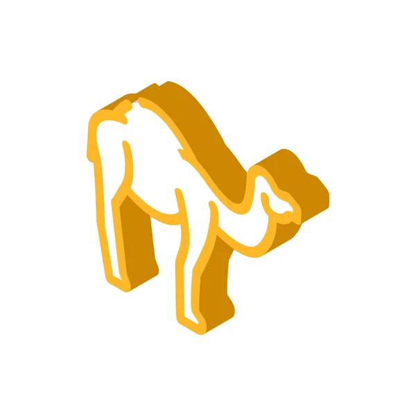 Kamel Tier isometrische Symbol Vektor Illustration — Stockvektor