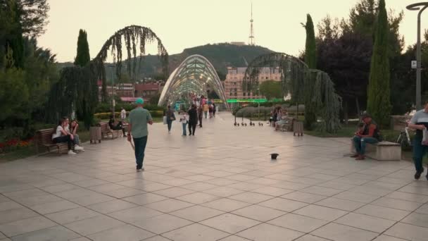 Tbilisi Georgia Tourists Locals Walking Rike Park Bridge Peace Old — Video