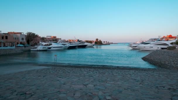埃及红海省胡尔加达省El Gouna的Abu Tig Marina小艇日光景显示豪华游艇 — 图库视频影像