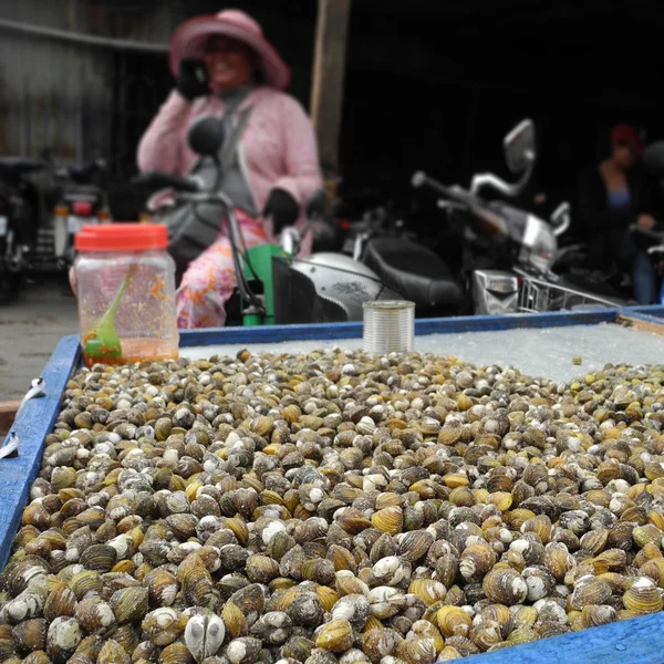 Scoici proaspete de vânzare, alimente locale de stradă în Asia — Fotografie, imagine de stoc