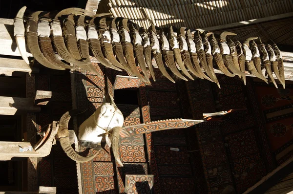 Many buffalo horns on display in front of an old wooden house — Stock Photo, Image