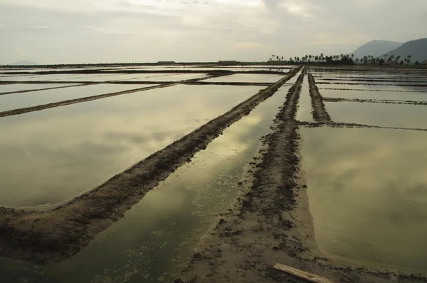 Large sea salt field in Cambodia — Stock Photo, Image