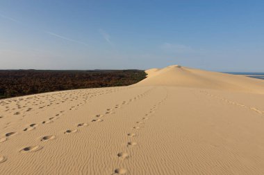 Dune du Pilat. Yüksek kalite fotoğraf