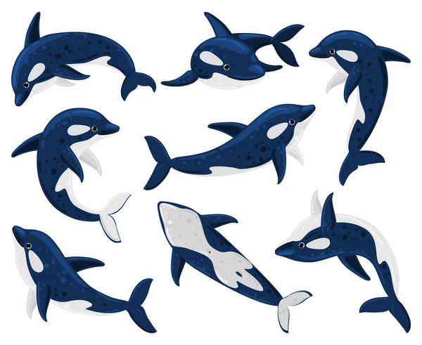 Ballenas de dibujos animados orca, ballena cazadora de depredadores marinos. Criatura marina orca ballena, fauna submarina asesino ballenas aislado vector ilustración conjunto. Mamíferos marinos de orca — Archivo Imágenes Vectoriales