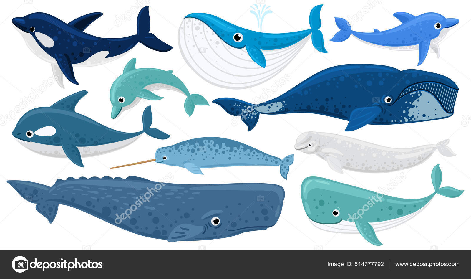 Desenhos animados mamíferos subaquáticos, golfinho, baleia beluga, orca,  cachalote. Animais marinhos, baleia jubarte, narval, conjunto de  ilustrações de vetor de baleia assassina. Baleias da fauna subaquática  Vetor de ©winwin.artlab@gmail.com 514777792, image size:1600x947
