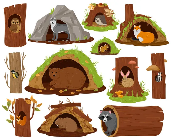 Мультяшные лесные животные внутри полости, норы и гнезда. Набор векторных иллюстраций лесной фауны в норах и полях деревьев. Сова, медведь и ёжик — стоковый вектор