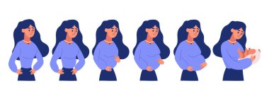 Hamilelik aşamaları, hamilelik sırasında kadın vücudu, her ay fetüs büyümesi. Hamilelik takvimi, bebek büyümesi haftalarca vektör çizimi. Hamileliğin aşamaları