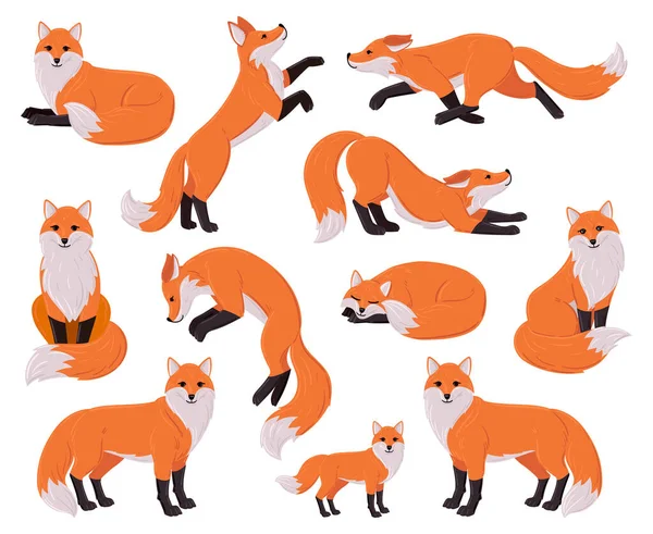 Cartoon lišky, lesní červená roztomilá liška charakter. Zvířecí zvěř, lesní dravec spící, běžící, skákající vektorová ilustrace. Vtipný červený liščí maskot — Stockový vektor