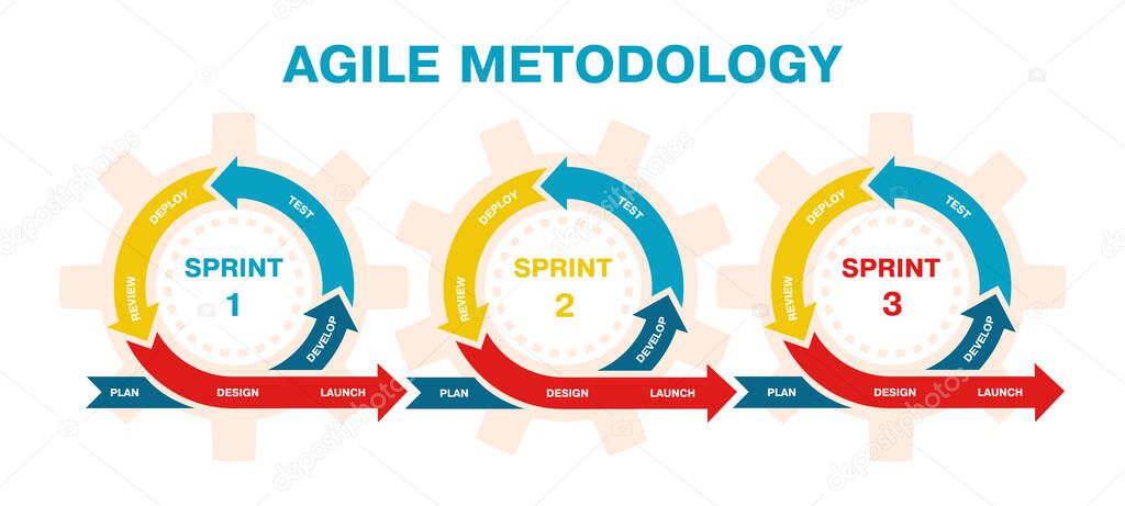 Agile project management, development methodology infographic. Agile software development lifecycle process sprints vector illustration. Agile development diagram