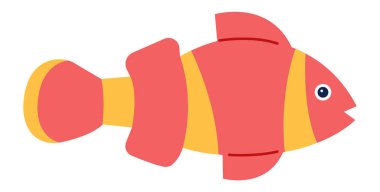 Clown fish with colored pattern isolated on white