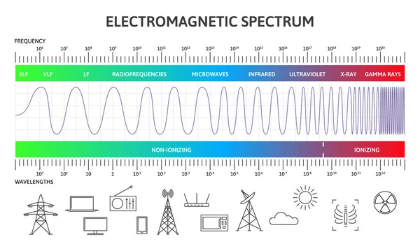 Infografía del espectro electromagnético, diagrama de longitudes de onda magnéticas. Física ondas de radiación magnética vector ilustración. Diagrama del espectro electromagnético — Archivo Imágenes Vectoriales