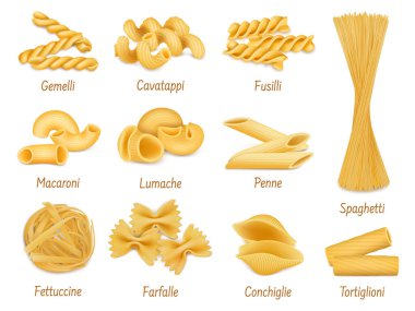 Gerçekçi makarna tipleri, farfalle, spagetti ve makarna. İtalyan mutfağı, kuru organik makarna çizim seti. Makarna tipleri