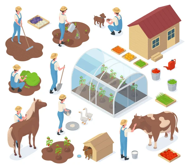 Izometrikus kert, mezőgazdasági karakterek, 3D-s üvegház, mezőgazdasági elemek. Kertészek, mezőgazdasági dolgozók és haszonállatok kórokozó-átvivő illusztrációs készlet. Mezőgazdasági mezőgazdasági berendezések — Stock Vector