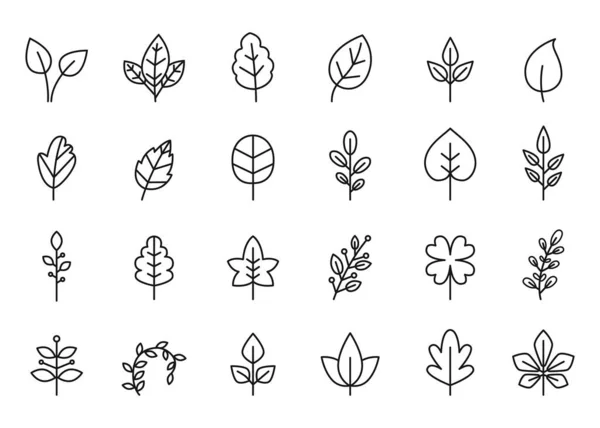 Lijn laat pictogram. Veganistisch blad, eco plantengroei en vers organisch vectorsymbool set — Stockvector