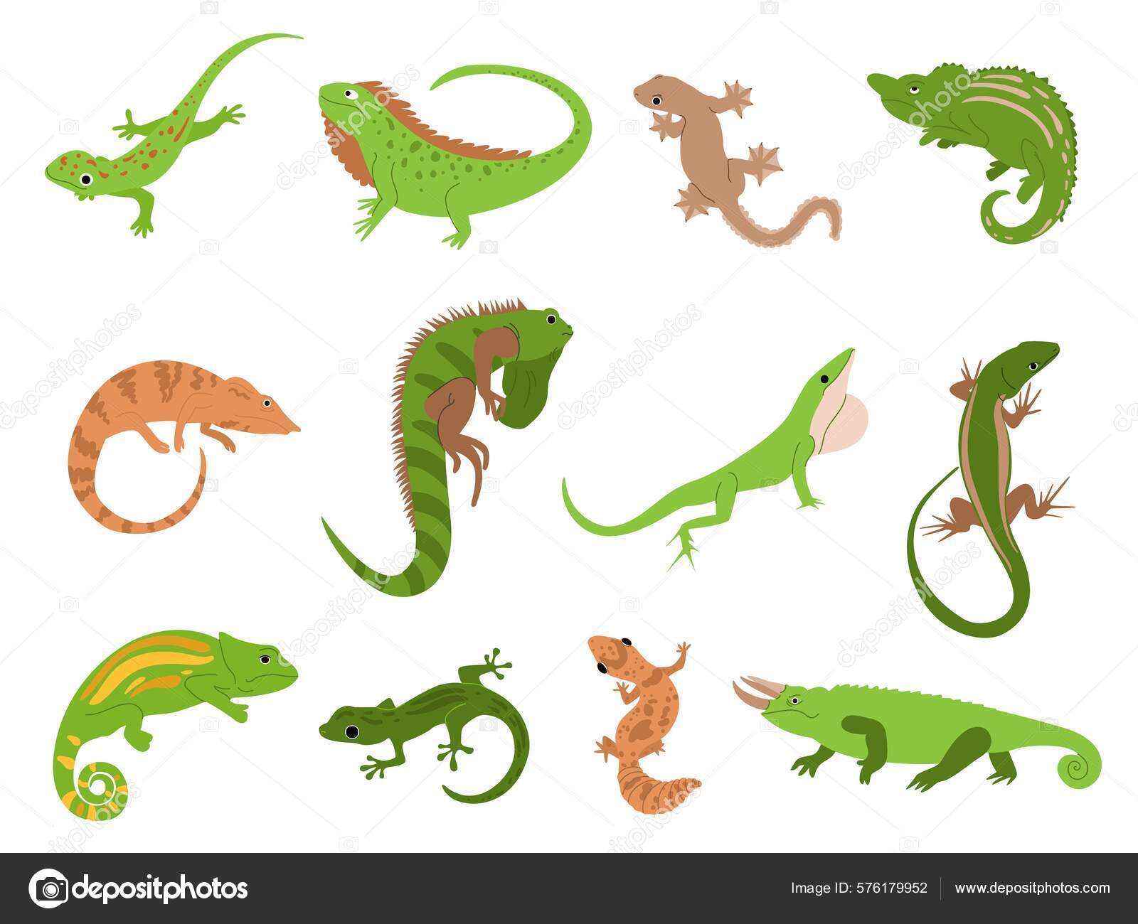 顔のエラがイカつい『ブラッドクロスタンジェリンくん』♂ 深いオレンジをした綺麗な男の子 我が家の２段目の子たちの紹介です。  気になる子がいたらDMへ✉️ #レオパ #爬虫類 #和歌山 #レオパードゲッコー #ヒョウモントカゲモドキ #ブリード #ペット #トカゲモドキ ..., image size:1600x1300