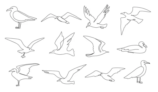 Одна Лінія Чайок Літаючі Морські Птахи Пляжні Тварини Безперервна Лінія — стоковий вектор