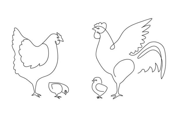 One Line Chicken Family Rooster Hen Chickens Farm Birds Continuous — Stock Vector