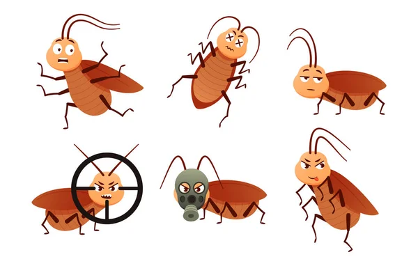 Cockroach Character Roach Insects Bugs Control Mascot Brown Parasite Beetles — Stock Vector