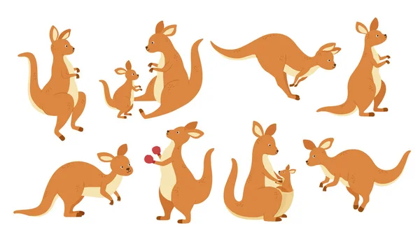 Kreskówkowa Maskotka Kangura Skoki Australijskich Zwierząt Kangury Różnych Pozach Wektor — Wektor stockowy
