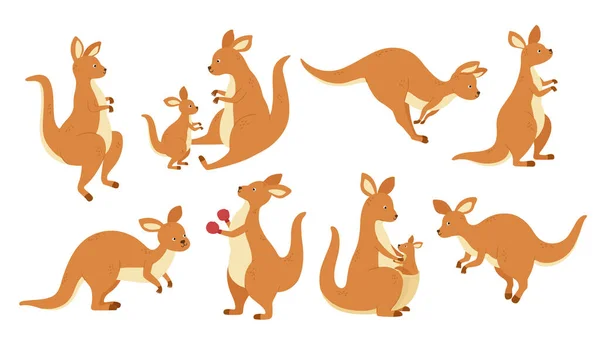 Kangaroo Baby Vector Art Stock Images ページ 9 Depositphotos