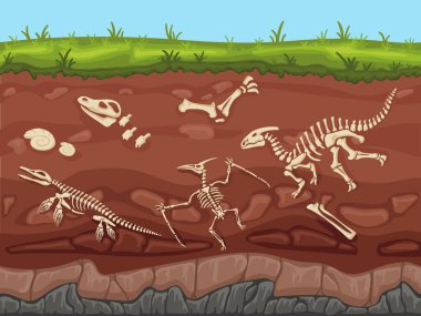 Fosilli toprak katmanları. Dinozor kemikleri ve fosil iskeletleri olan zemin katmanları paleontoloji kazı alanları karikatür vektör çizimleri. Dinozor fosili yeraltı çizgi film hayvan iskeleti