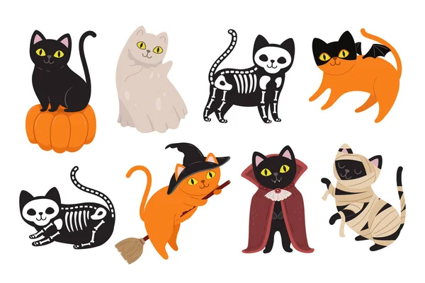 Halloween Kočky Černé Kotě Kostýmu Upíra Draculy Zvířecí Mumie Čarodějnice — Stockový vektor