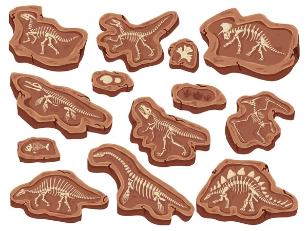 Des Fossiles Dessins Animés Dinosaures Fossilisation Poissons Anciens Coquille Ammonite — Image vectorielle