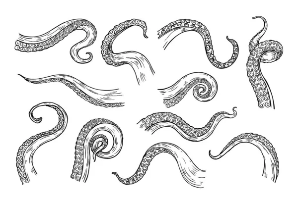 Octopus Tentacles Engraving Hand Drawn Tentacle Underwater Squid Animal Sketch — Vetor de Stock
