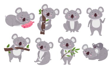 Cute koalas. Cartoon mascot, bear with eucalyptus tree branch and sitting koala vector Illustration set. Adorable animals relaxing in different positions, sleeping with baby isolated