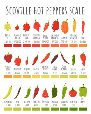 Scoville hot peppers scale. Hot pepper chart, spicy level and scovilles heat units poster vector illustration. Vegetables with different indicator of sharpness, spice measurement in plants
