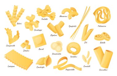 İtalyan makarna şekilleri. Fetuçin, spagetti ve lazanya. Kuru cannelloni, ravioli ve makarna. Fettuccine ve spagetti karikatür vektör çizim seti