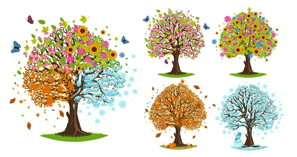 Four seasons tree Stock Photos, Royalty Free Four seasons tree Images ...