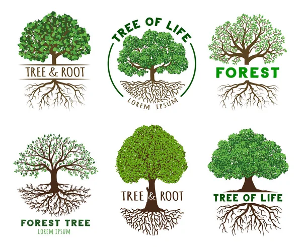 Modelo Emblema Árvore Vida Sabedoria Harmonia Árvores Com Raízes Folhas —  Vetores de Stock