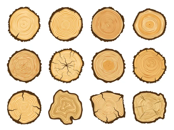 Doorsnede Boomstam Ronde Dennenbomen Bos Hout Cirkel Boomringen Vector Illustratie — Stockvector