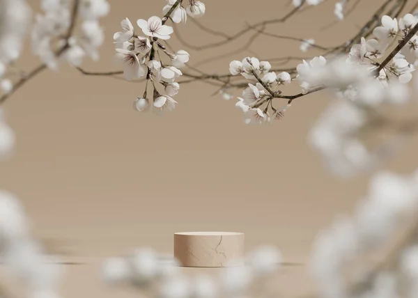 Background Beige Podium Display Sakura White Flower Tree Branch Cosmetic — Stock Photo, Image