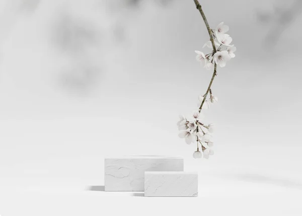 Fundo Pódio Branco Exposição Cubo Ramo Árvore Flor Branca Sakura — Fotografia de Stock