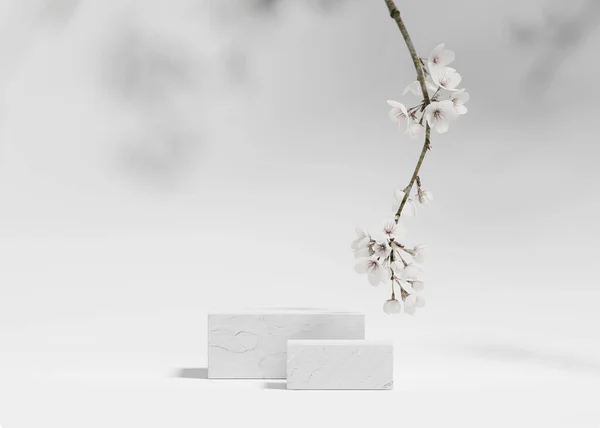 Background White Podium Cube Display Sakura White Flower Tree Branch — Stock Photo, Image