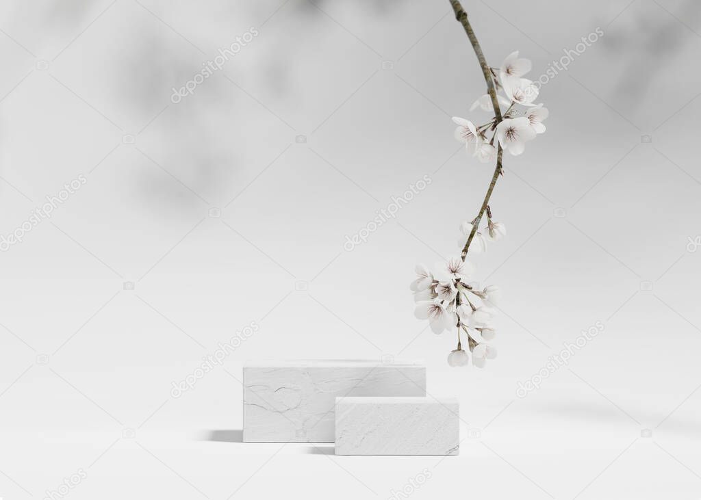 3D background, white podium. Cube display, sakura white flower tree branch. Cosmetic or beauty product promotion step stone floral pedestal. Abstract minimal advertise. 3D render copy space template