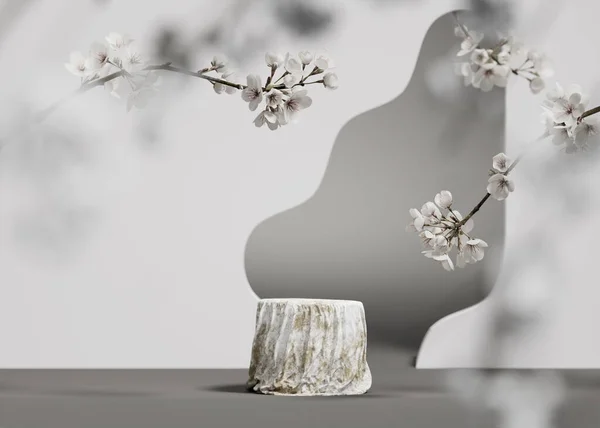 Hintergrund Podium Display Sakura Weißer Blumenzweig Kosmetik Oder Schönheitsproduktförderung Grau — Stockfoto