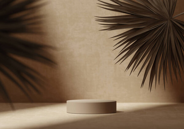 Background Beige Pedestal Podium Natural Dry Palm Leaf Shadow Brown Royalty Free Stock Images