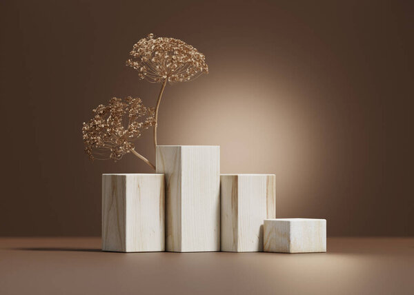 Background Beige Wood Podium Display Natural Dry Plant Sun Shadow Stock Image