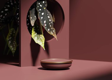 3D podyum, arka plan görüntüsü. Doğa kozmetik ya da güzellik ürünü tanıtımı, kriket çerçeve modeli. Adım kaidesi, egzotik benekli begonya bitkisi gölgesi. Boşluğu 3D render resimlemesini kopyala, boş pankart