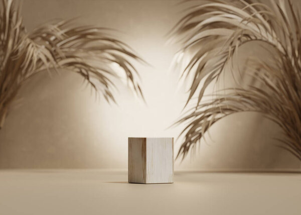 Background Beige Podium Wood Display Natural Dry Palm Leaf Shadow Royalty Free Stock Photos