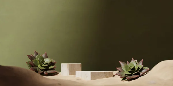 3D讲台展示 绿色背景 天然化妆品 美容产品推广 米色的木石阶基座在沙滩上 奇异多汁的植物叶影 复制空间3D横幅渲染说明 — 图库照片